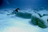 Stromatolites Lee Stocking Exumas Bahamas
