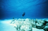 Dr. Bob Dill floating like an ooid over his very own Stromatolites at Lee Stocking Island in the Exumas Bahamas