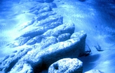 Stromatolites Lee Stocking Exumas Bahamas