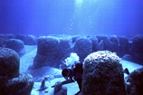 Gene Shinn sawing at Stromatolites in the channel at Lee Stocking Island, Exumas, Bahamas