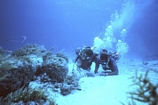 Stromatolites Lee Stocking Exumas Bahamas