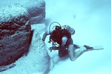 Stromatolites Lee Stocking Exumas Bahamas
