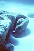 Stromatolites Lee Stocking Exumas Bahamas