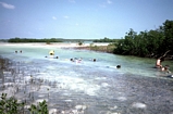 Tidal creek on Normans Pond Cay on the way to the tidal water fall. Note the mounds built by Calliansa shrimp. Red mangroves line the creek. Exumas, Bahamas