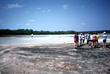 Algal flat on the tidal flood delta the debouches in to the salt works on Normans Pond Cay, Exumas Bahamas