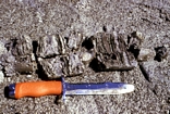 Core taken on the flood delta of Normans Pond Cay. Note cyanobacterial peat! Exumas, Bahamas