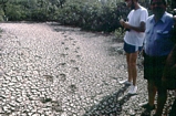 The mudcracked surface of the dried out pond on the southern end of the north west shore of Normans Pond Cay, Exumas Bahamas