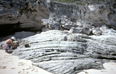 Pleistocene Lee Stocking Exumas Bahamas