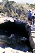 Dill Pleistocene Normans Pond Cave Bahamas