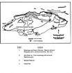 New Providence Bahamas Pleistocene