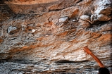 Clifton Pier New Providence Bahamas Pleistocene