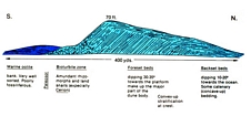 New Street Cut New Providence Bahamas Pleistocene