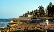 Morgans Bluff Andros Island Bahamas Pleistocene