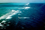 Belize Barrier Reef After Neil Fraser 1959