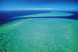 Belize Reef