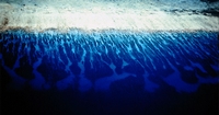 Belize Barrier Reef After Jim Ebanks