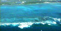 Belize Reef Ambergris Key