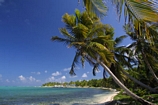 Belize Barrier Reef National Geographic