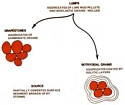 Botryoidal Carbonate