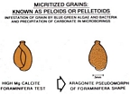 Micritization