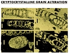 Micritization