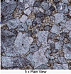 Coarse Dolomite