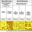 Dunham Classification Reefs