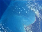 Whtings BahamasWhitings on GBB from Space Shuttle, 14 Apr 1993