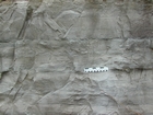 Ordovician Kty