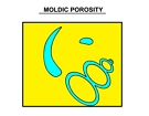 Moldic Porosity