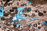 Vug Porosity