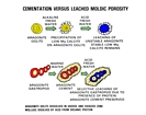 Evolving Porosity