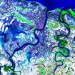 Leichrdt River Carpentaria False Color MrSid Nasa