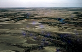 Carpentaria Oblique Photos Norman River Queensland