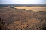 Carpentaria Oblique Photos Norman River Queensland