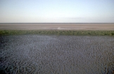 Carpentaria Oblique Photos Norman River Queensland