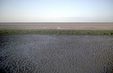 Carpentaria Oblique Photos Norman River Queensland