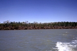 Norman River Carpentaria