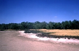 Marsh Norman River Carpentaria