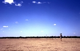 Marsh Norman River Carpentaria