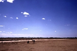 Marsh Norman River Carpentaria