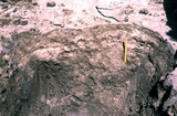 Salt Crust in Depression Beside Norman River Carpentaria