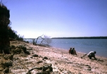 Beach Ridge Norman River Carpentaria