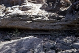 Estuary Bank Carpentaria