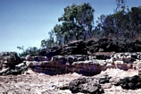 Eagles Nest Plestocene On Laterite Sweers Island