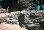 Pleistocene Sweers Isand Carpentaria