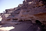 Sweers Island Pleistocene Carpentaria