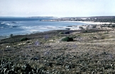 North Island Dunes Carpentaria