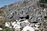 North Island Carpentaria Pleistocen On Pre Cambrian