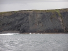 Exposures of Upper Clare Shale overlain by Ross Formation in the cliffs west of Bromore West and Drom in Co Kerry. These Namurian outcrops are south of Kilconly best seen from the Shannon Estuary. The shales evolve upward in depositional setting from a deeper euxinic setting with an influx of shales that upward change to turbiditic sands (Rider, 1969, and Martinsen, 1989).